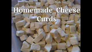 How to Make Cheddar Cheese Curds [upl. by Thibaut706]