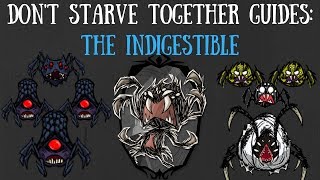 Dont Starve Together Character Guide Webber [upl. by Hump333]