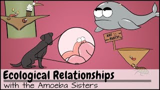 Ecological Relationships [upl. by Aileek624]