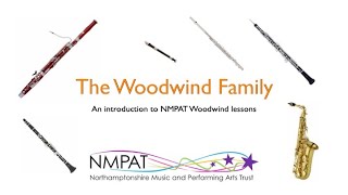 An introduction to the woodwind department from NMPAT [upl. by Attolrac394]