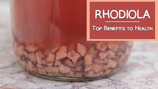 What is Rhodiola Top Health Benefits [upl. by Ahsitnauq]