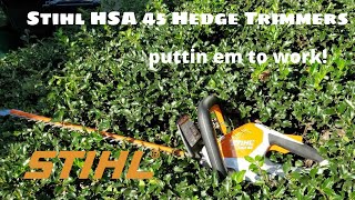 Stihl Hedge Trimmers HSA 45 Review [upl. by Althea966]