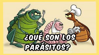 La clasificación de los parásitos  parásitos [upl. by Petrine]