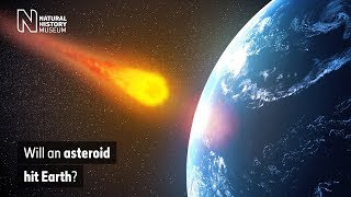 Will an asteroid hit Earth  Natural History Museum [upl. by Esiocnarf]