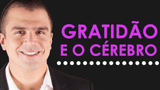 O SURPREENDENTE efeito da GRATIDÃO no cérebro [upl. by Arleyne298]