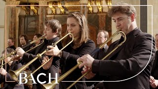 Bach  Sinfonia from Cantata BWV 29  Netherlands Bach Society [upl. by Male]