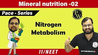 Mineral Nutrition  02  Nitrogen Metabolism  Class 11  Pace Series [upl. by Ornstead]