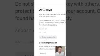 How to get OPEN AI API KEY [upl. by Carling]