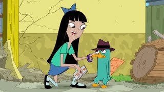 Phineas and Ferb  Stacy finds out Perrys secret [upl. by Emmaline843]