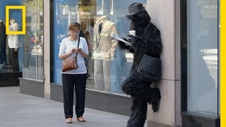 Walking While Texting  Crowd Control [upl. by Smada781]