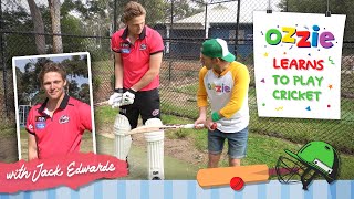 Cricket For Kids With Jack Edwards Sydney Sixers  Cricket Skills  Educational Video With Ozzie [upl. by Linad]