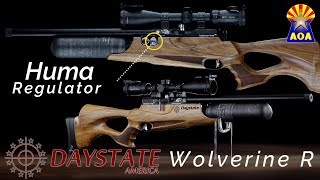 Daystate Wolverine R  OVERVIEW [upl. by Bristow861]