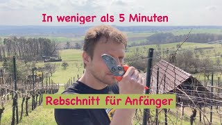 Rebschnitt für Anfänger [upl. by Swithbert]