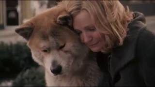 Hachiko A Dogs story [upl. by Marcello]