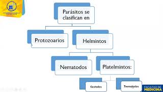 Clase 45 Generalidades de parásitos [upl. by Cele]