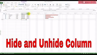 MS Project Tutorial  How to Hide and Unhide Insert any Column  NTD [upl. by Enelie198]