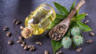 Homemade Castor Oil Made From Scratch [upl. by Ornie]