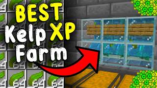 The BEST KELP XP Farm In Minecraft Bedrock 121 [upl. by Sidoon]