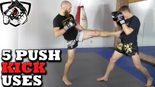 Are You Using All 5 Teep Push Kick Tricks wMuay Thai Guy [upl. by Revorg]