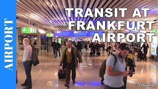 TRANSIT WALK AT FRANKFURT Airport FRA Terminal 1  Connection Flight Transfer Arriving amp Departing [upl. by Robi]