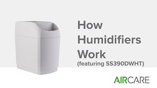 How Humidifiers Work featuring SS390DWHT [upl. by Harahs]