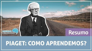 Resumo da Teoria de Piaget [upl. by Ahserak912]