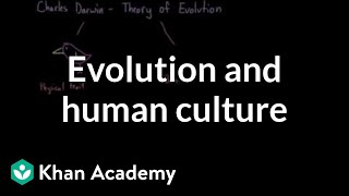 Evolution and human culture  Society and Culture  MCAT  Khan Academy [upl. by Sternick280]