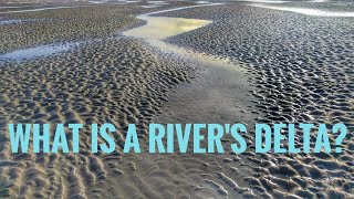 What is a rivers delta [upl. by Anertak]