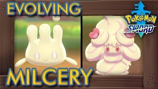 Pokémon Sword amp Shield  How to Evolve Milcery into Alcremie All 8 Forms [upl. by Lucine991]