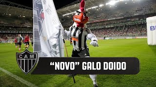 quotNovoquot Galo Doido agita o Horto [upl. by Griff]