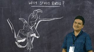 Basic Ornithology Why Study Birds [upl. by Missi]