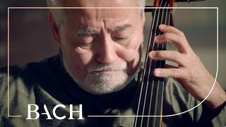 Bach  Cello Suite no 5 in C minor BWV 1011  Suzuki  Netherlands Bach Society [upl. by Eecrad]