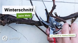 Winterschnitt beim Wein  Weinreben richtig schneiden  gardify Tipps [upl. by Naghem480]