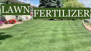 The BEST FERTILIZERS for a THICK GREEN LAWN [upl. by Assile]