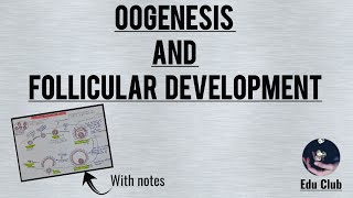 Oogenesis And Follicular Development  Reproductive Physiology [upl. by Huntington778]