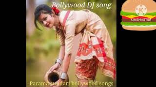 param sundari bollywood DJ song [upl. by Enialehs]