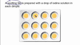 The starch amp amylase experiment [upl. by Moselle601]